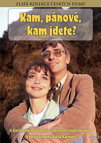 Куда, товарищи, куда идете? (1988) постер