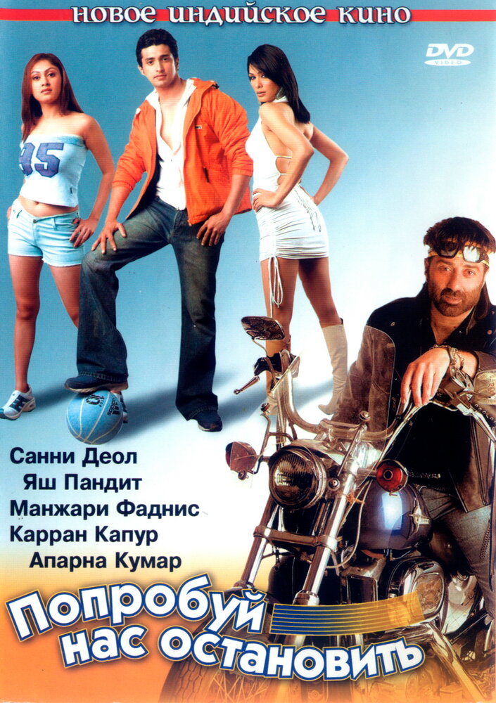 Попробуй нас остановить (2004) постер