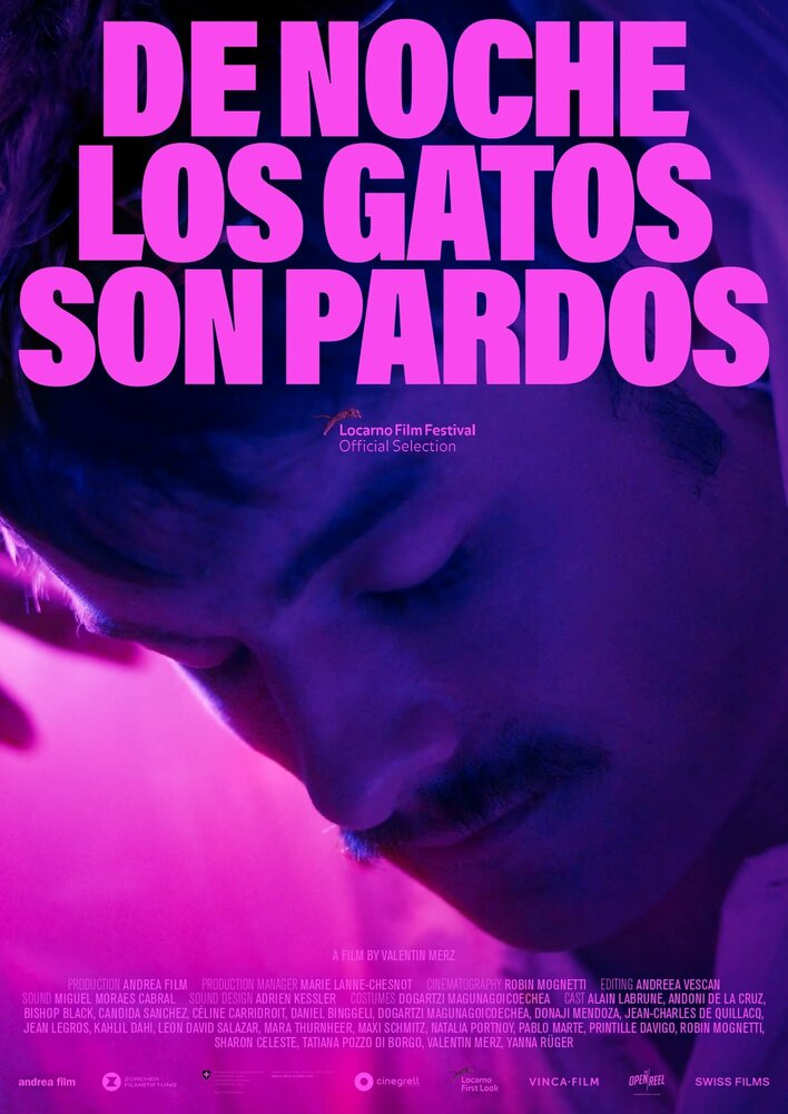 De noche los gatos son pardos (2022) постер