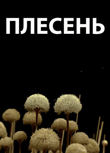 Плесень (2009)